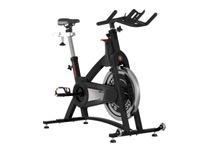 Schwinn IC Pro