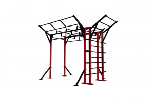 functiona-training-rig